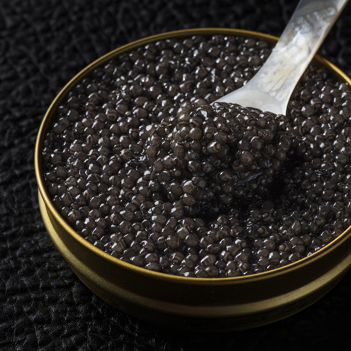 Beluga Caviar W.G. White traders of the finest Caviar since 1895